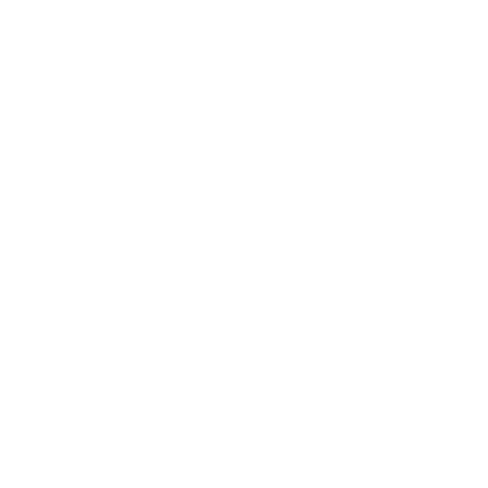 Route logo white
